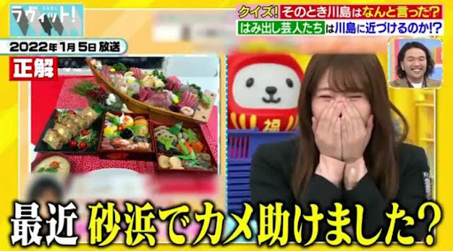 テレビでのコメント