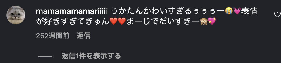 インスタグラムのコメント